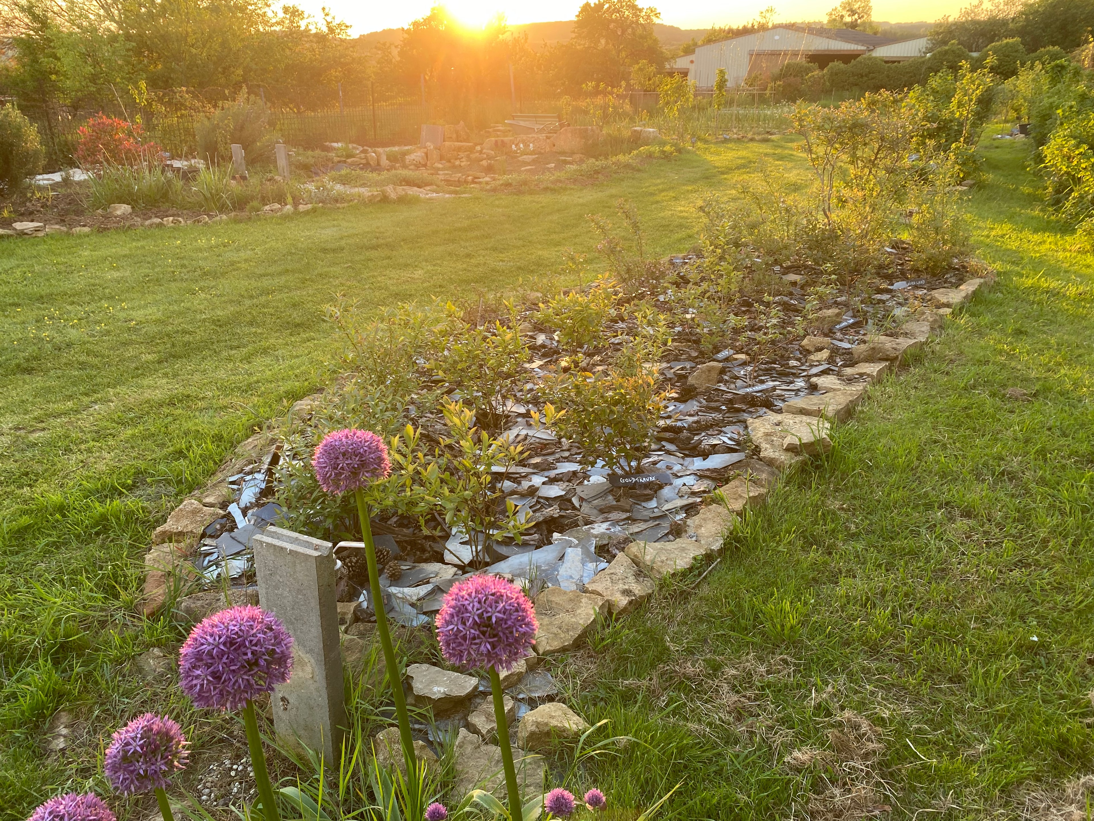 Jardin 9
